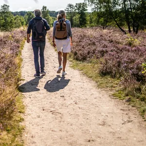 Offen und hügelig: Die Fischbeker Heide ist eine fast surreale Landschaft.