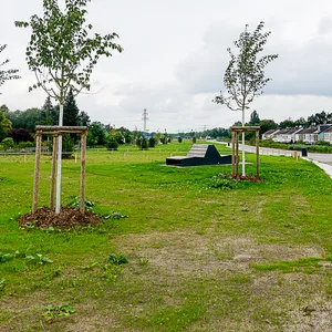 Der Deckelpark auf der A7 in Stellingen ist bereits zugänglich und wird am Samstag offiziell eröffnet.