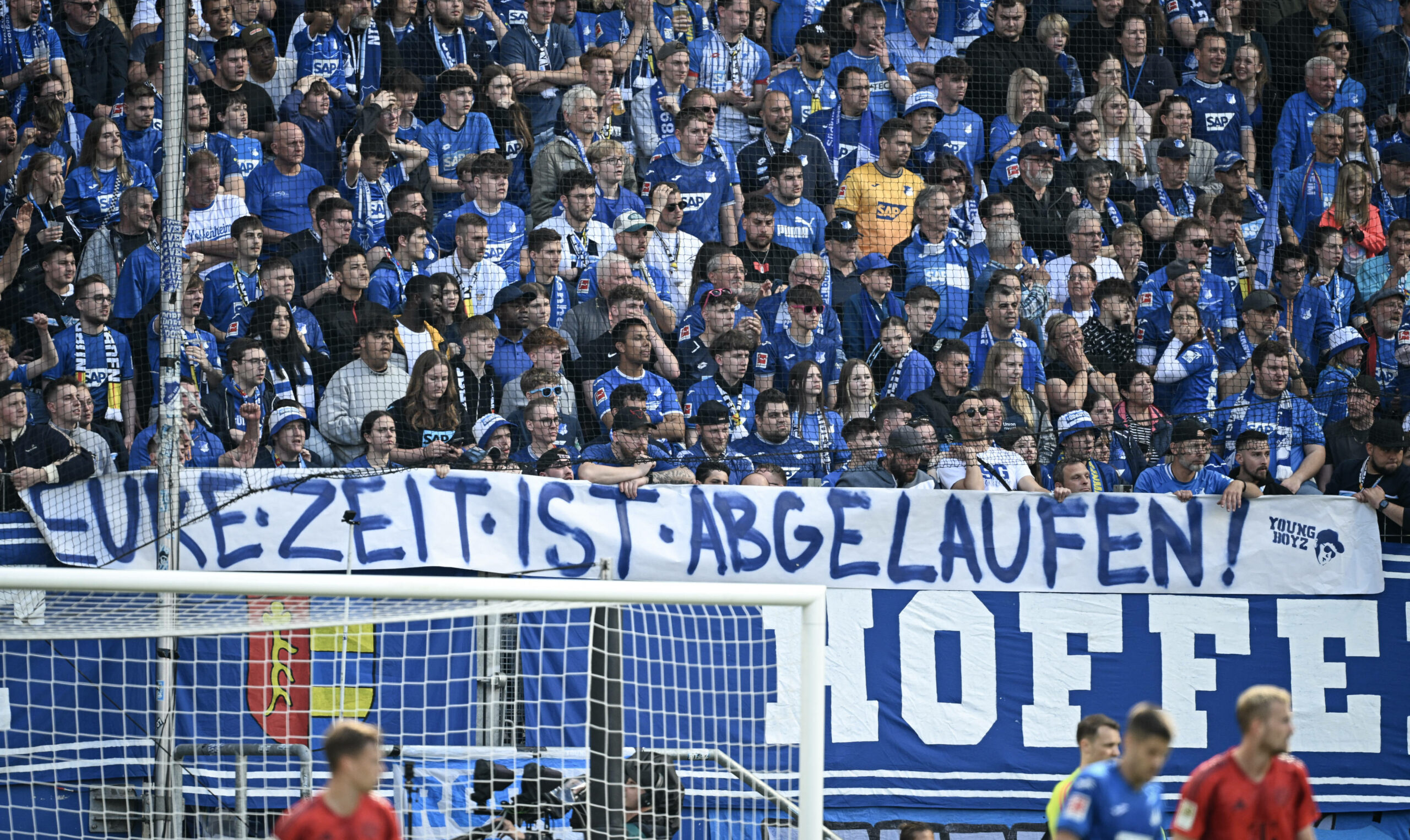 Fans der TSG Hoffenheim