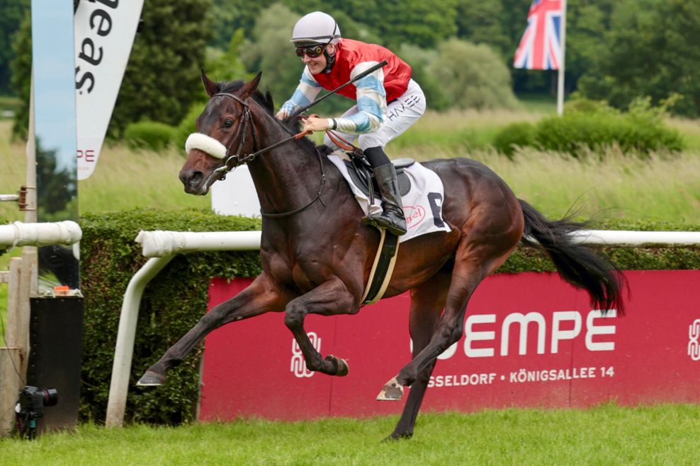 Wer holt sich das Blaue Band? Die Favoriten beim Galopp-Derby in Hamburg