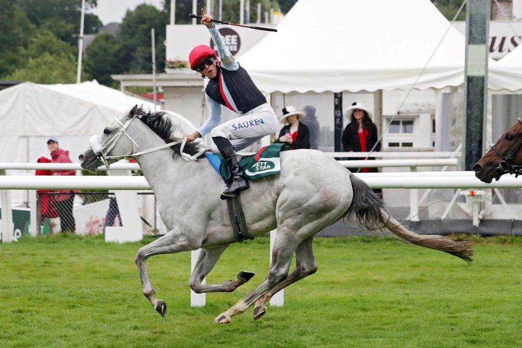 Thore Hammer-Hanse jubelt auf „Three Havanas“.