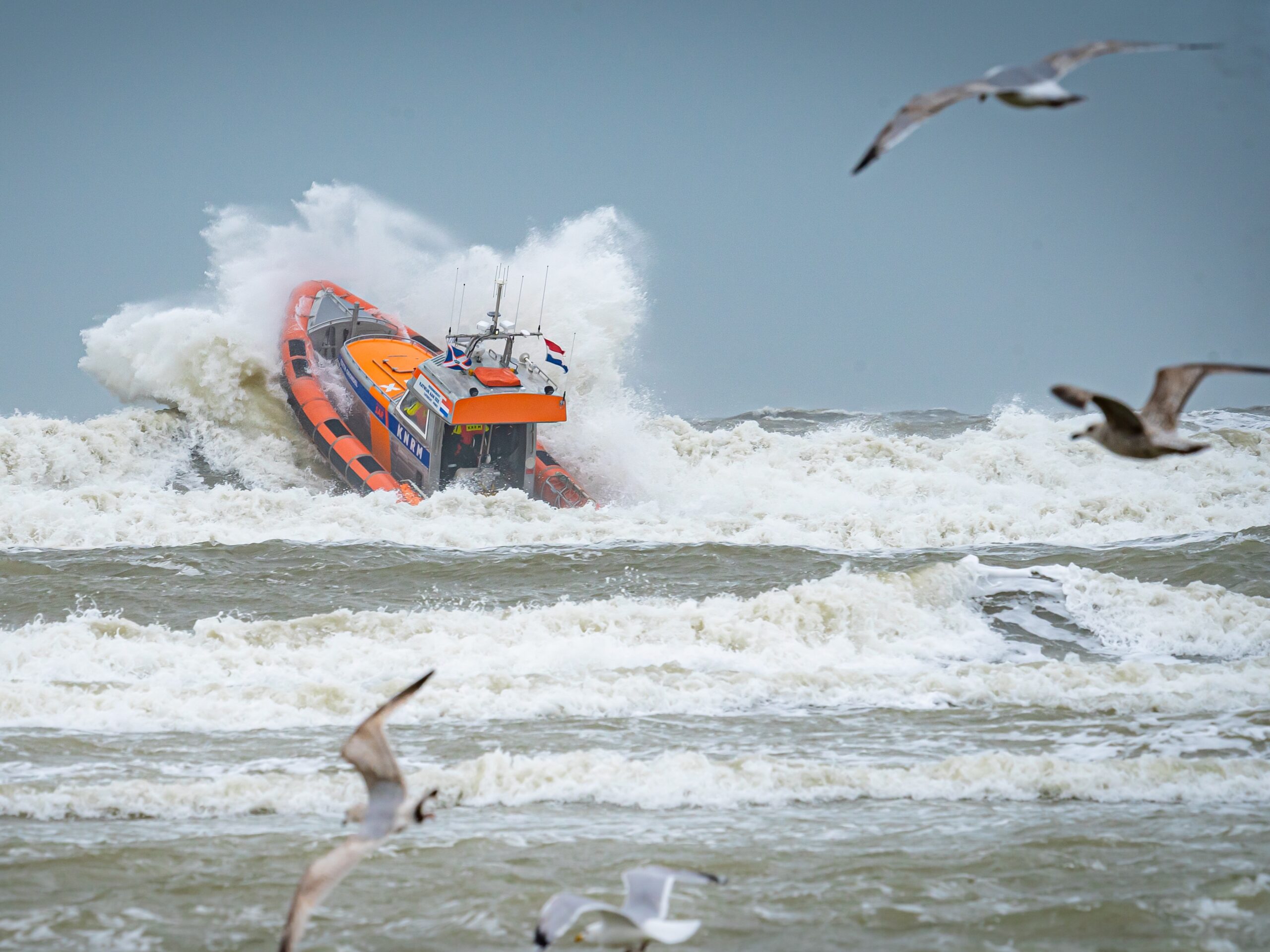 Seenotretter im Wasser