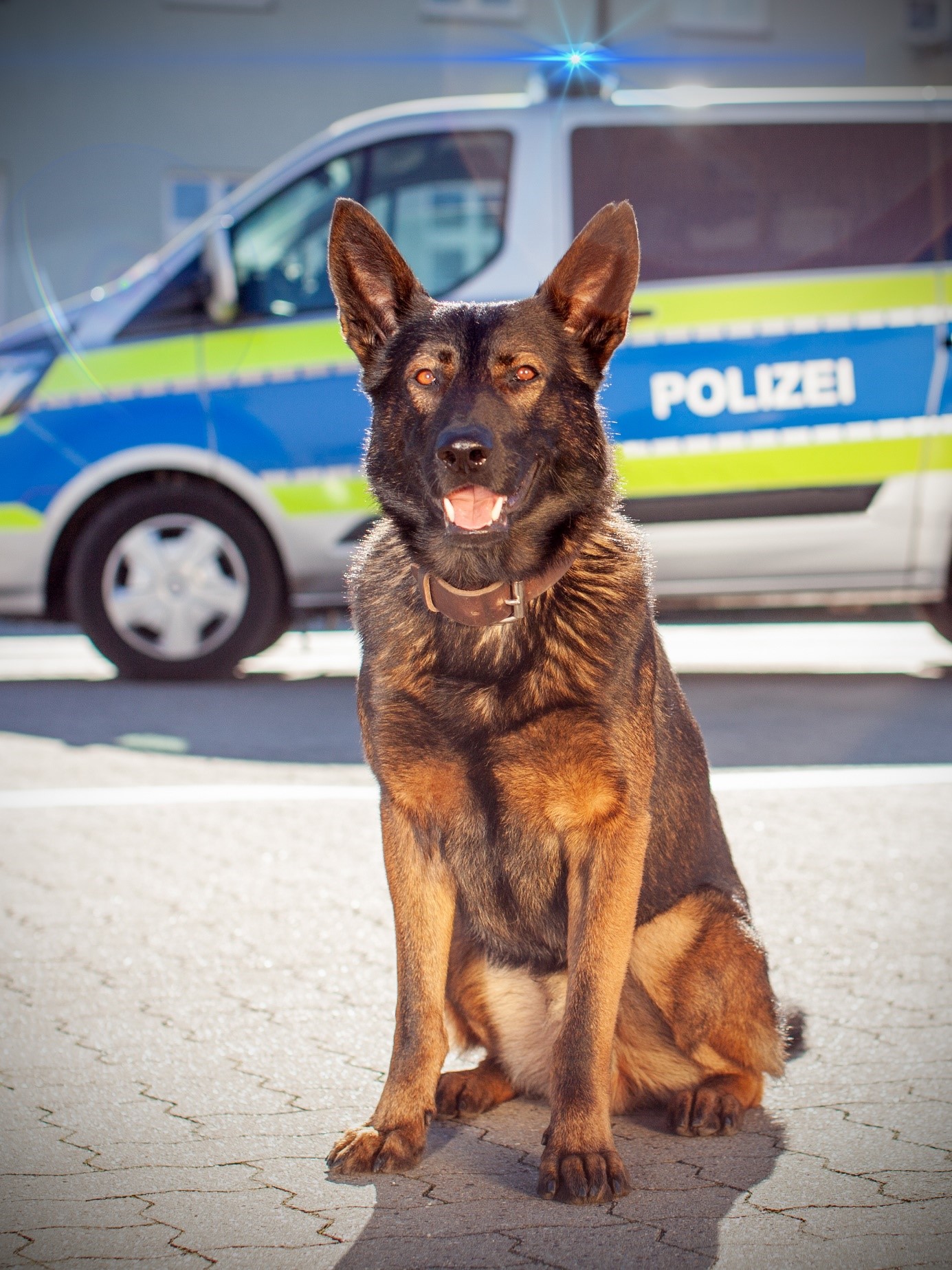 Mann will Autofahrer ausrauben, direkt vor den augen von zwei Polizistinnen