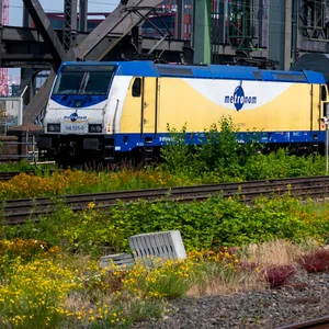Ein Metronom fährt über die die Norderelbe (Archivbild).