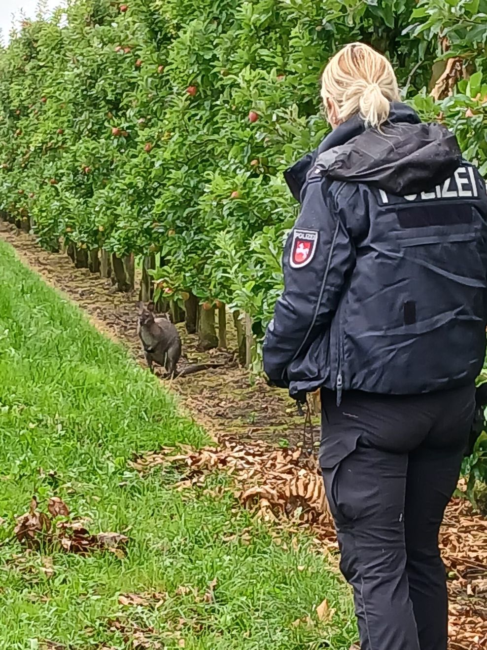 Polizei, Ordnungsamt und Zoodirektor fingen das Tier ein.