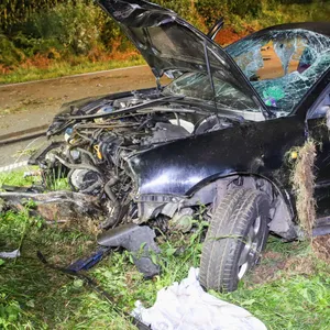 Das Fahrzeug blieb schwer beschädigt im Seitengraben der Fahrbahn stehen. Die Insassen wurden schwer bis lebensgefährlich verletzt.