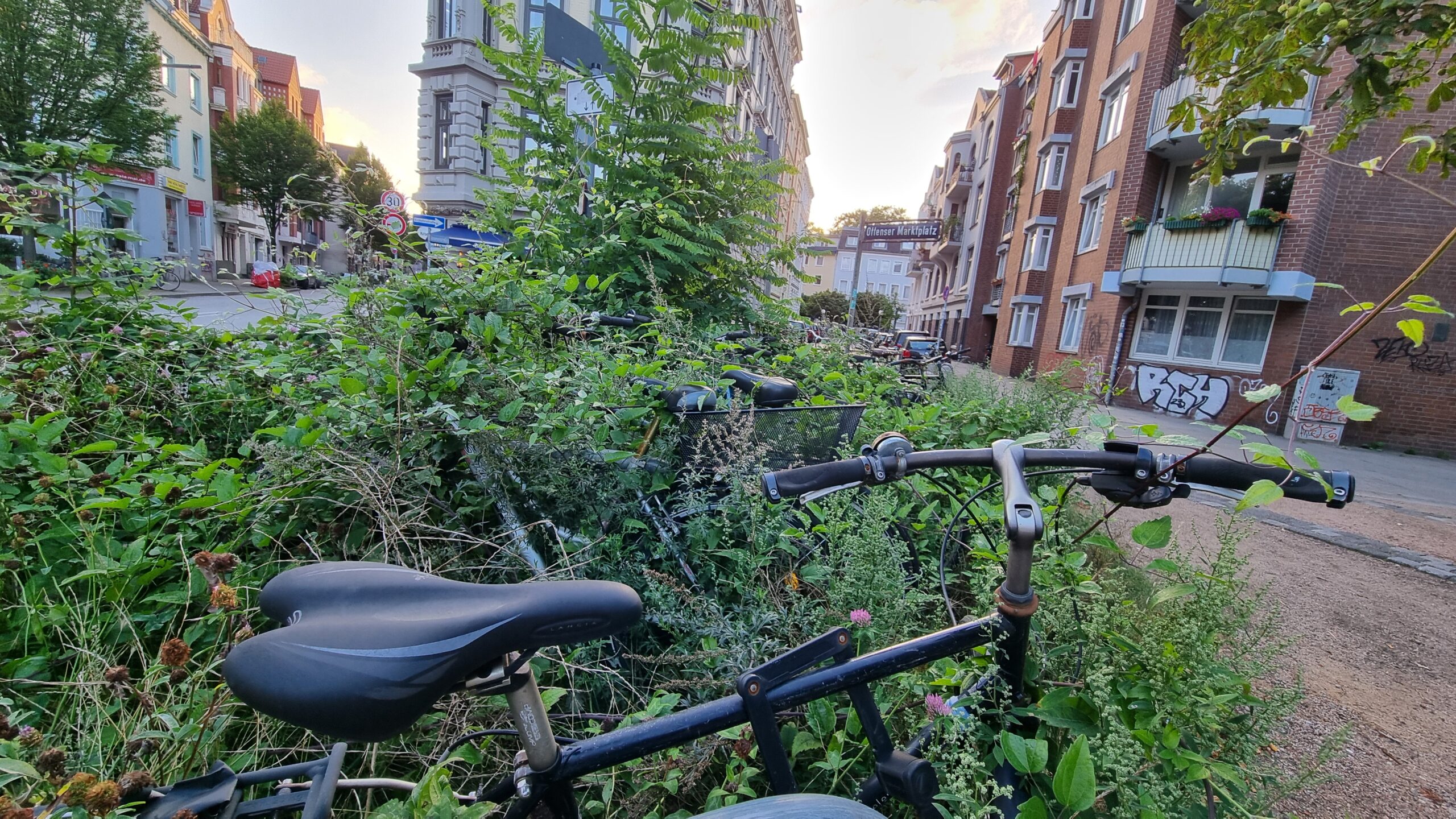 Gleich mehrere "Fahrrad-Leichen" stehen am Ottenser Marktplatz und werden langsam überwuchert.