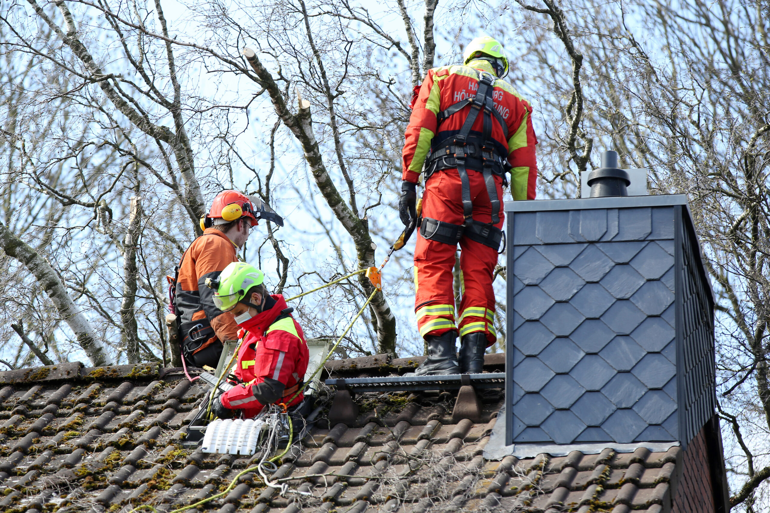 Massiver und 30 eter hoher Baum droht in Farmsen-Berne auf Haus zu stürzen – Großeinsatz der Feuerwehr