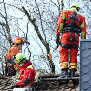 Massiver und 30 eter hoher Baum droht in Farmsen-Berne auf Haus zu stürzen – Großeinsatz der Feuerwehr