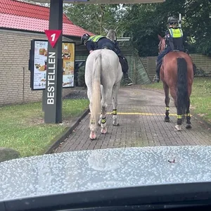 Die Polizisten sind auf ihren Pferden in den Drive In geritten.