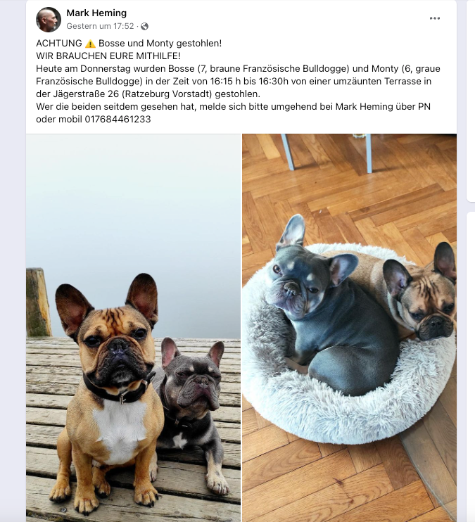 Der Ratzeburger Mark Heming postete zwei Fotos seiner Hunde in einer öffentlichen Facebook-Gruppe. 