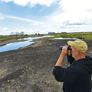 Das Naturschutzgebiet nördlich von Neugraben. Hier wurden bereits 40.000 Tonnen Torf entladen. Teile sind nicht von Wasser bedeckt.