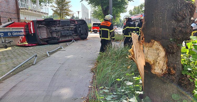 Seniorentransporter kracht in Bamrbek-Nord gegen Baum – drei Verletzte