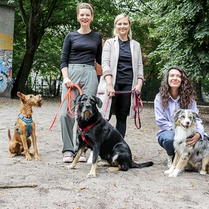 Christin, Lisa und Liza (von links) setzen sich für schönere und sichere Hundewiesen in Eimsbüttel ein.
