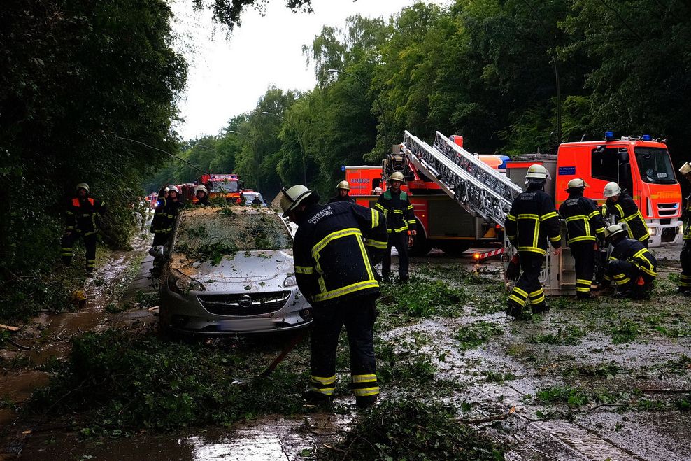 Feuerwehrkräfte beseitigen den umgestürzten Baum