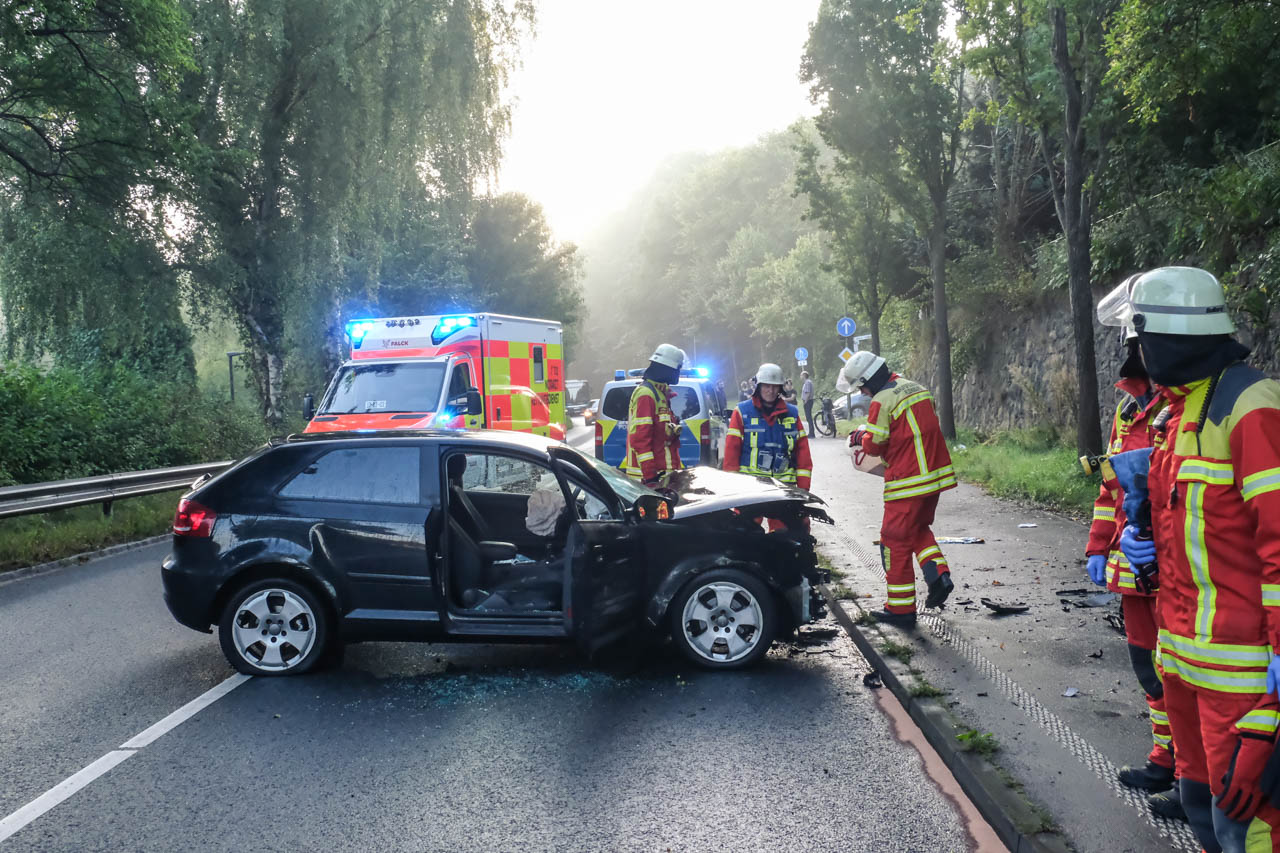 Mann erleidet in Flensburg während der Fahrt Schwächeanfall und kracht gegen Baum -tot