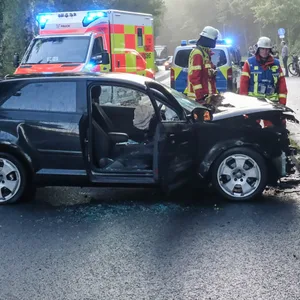 Mann erleidet in Flensburg während der Fahrt Schwächeanfall und kracht gegen Baum -tot