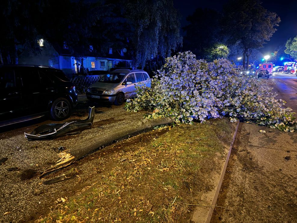 Ein Straßenbaum wurde bei dem Unfall komplett umgerissen.