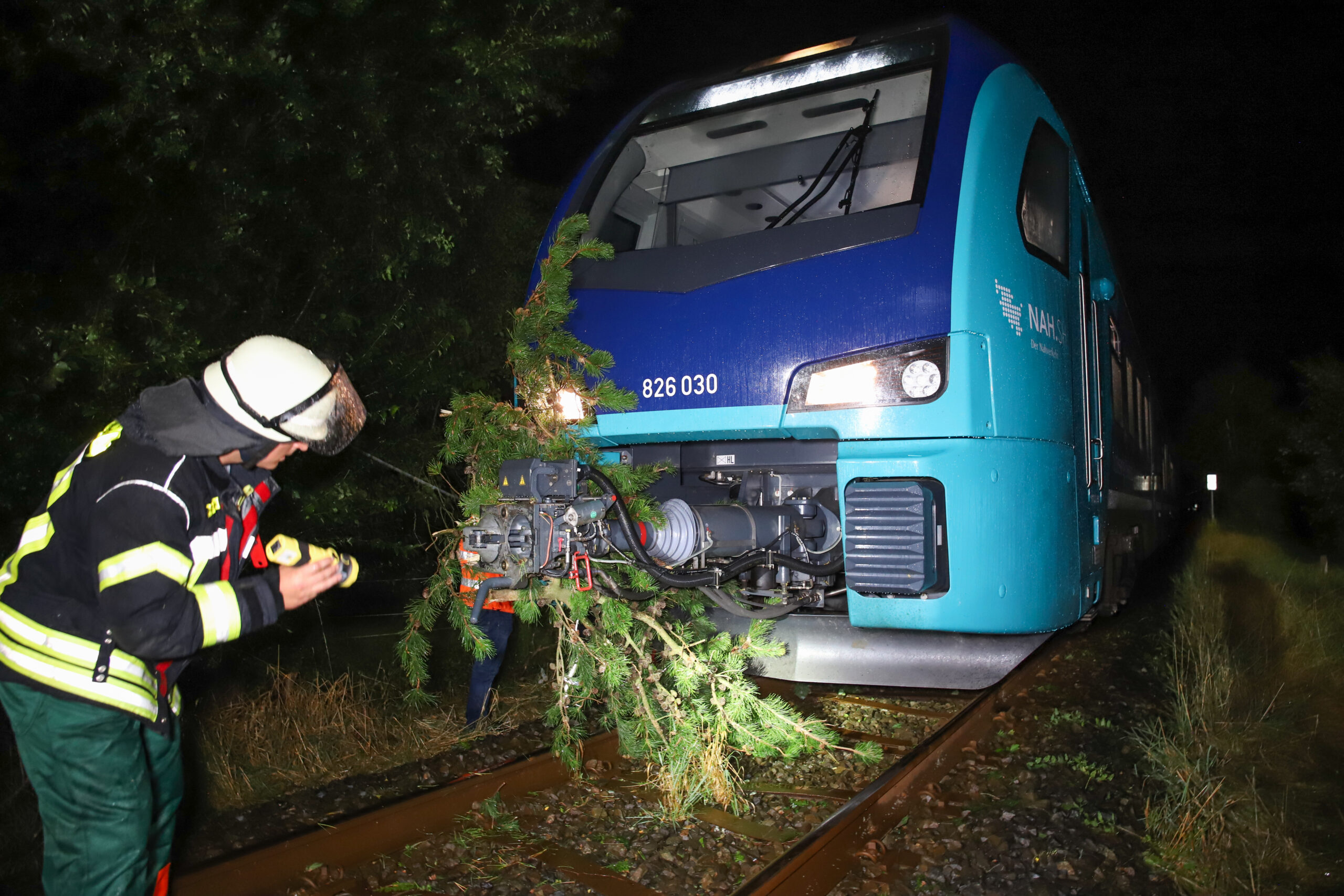 Schwerer Sturm im Norden: Regionalbahn kollidiert mit umgestürzter Tanne