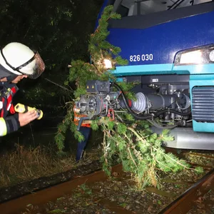 Schwerer Sturm im Norden: Regionalbahn kollidiert mit umgestürzter Tanne