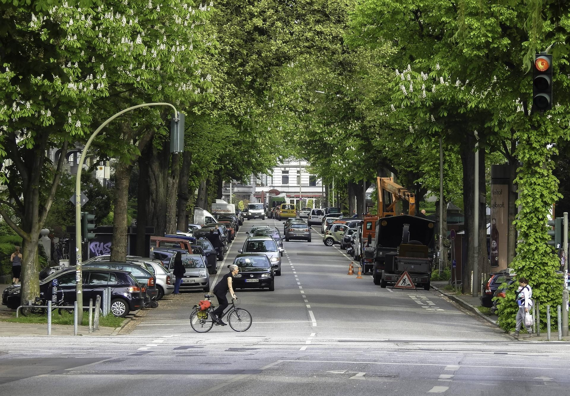 Straße mit prächtigen Kastanien