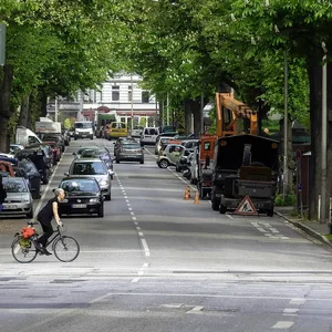 Straße mit prächtigen Kastanien