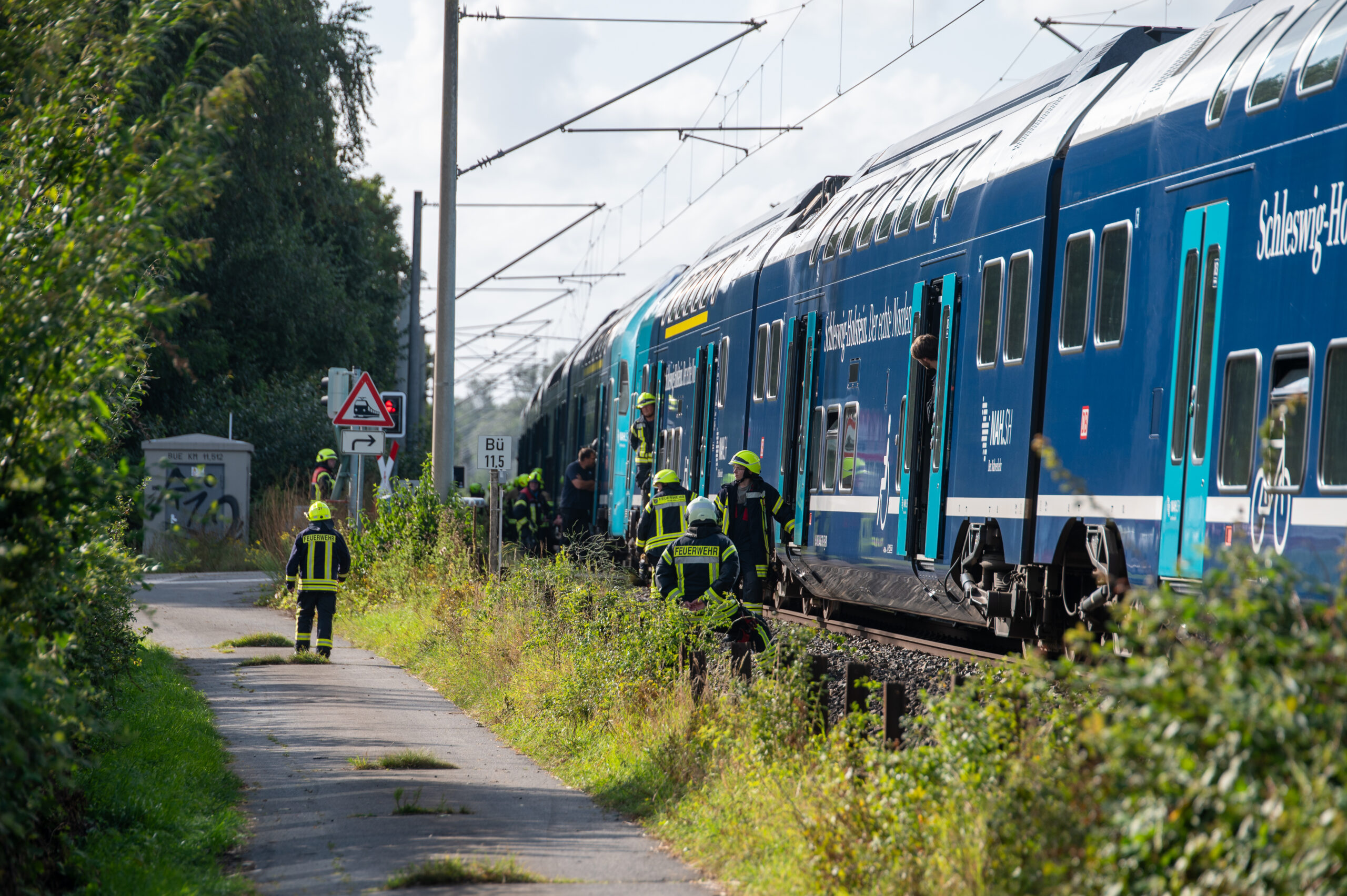 Auf der Regionalstrecke zwischen Hamburg und Lübeck ist am Nachmittag ein Baum auf die Oberleitung gestürzt.