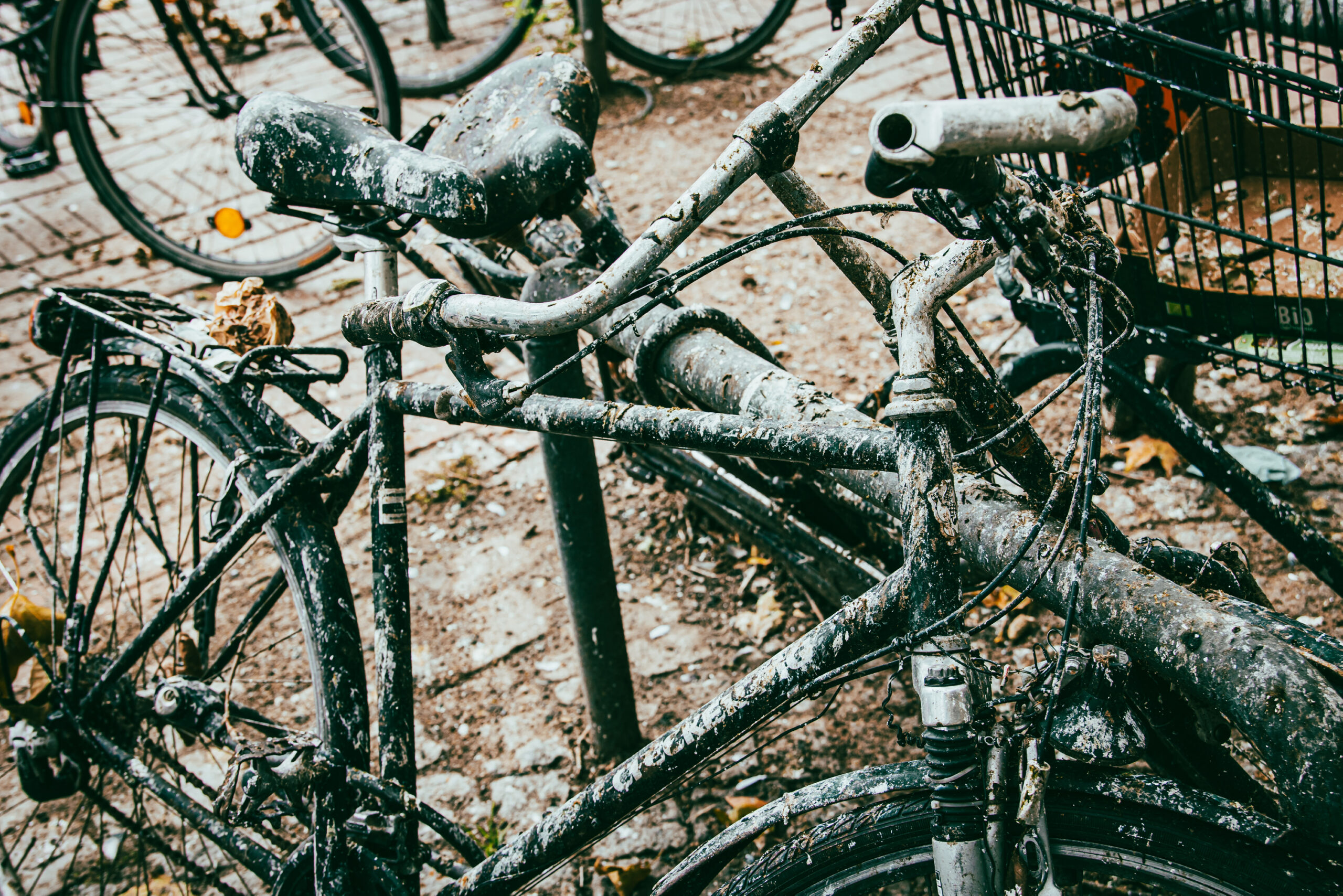 Fahrrad mit Taubenkot