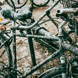 Fahrrad mit Taubenkot