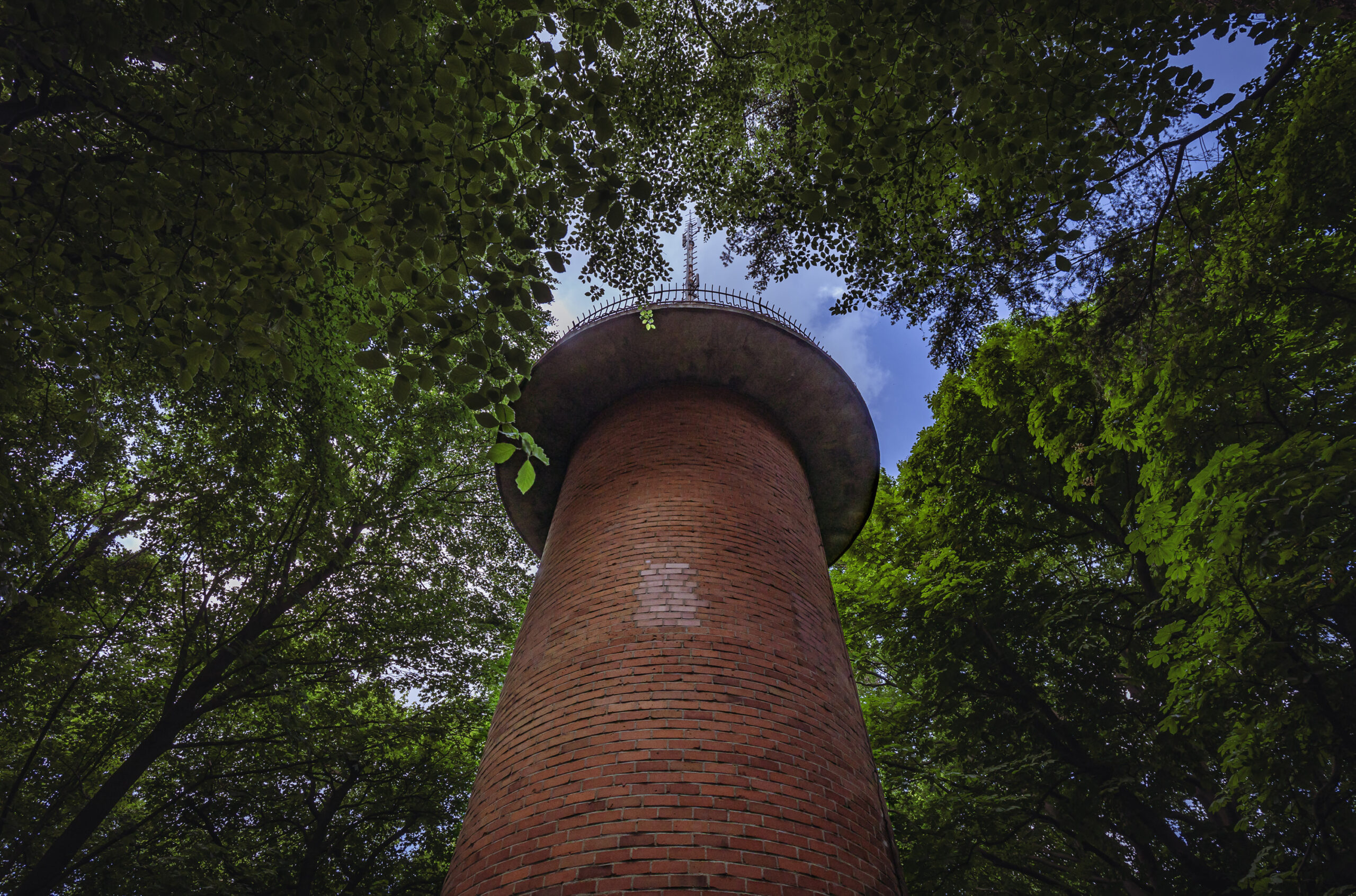 Der Aussichtsturm auf dem Waseberg