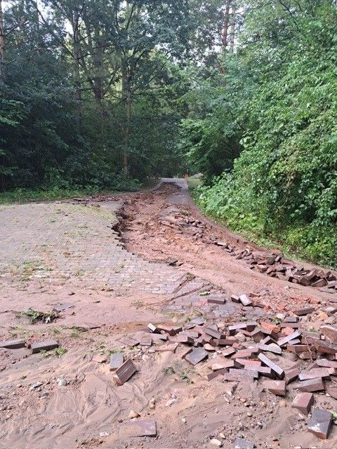 „Erhebliche Schäden“ durch Unwetter: Hamburger Bezirk mit Appell an Anwohner