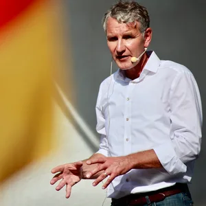 Björn Höcke, AfD