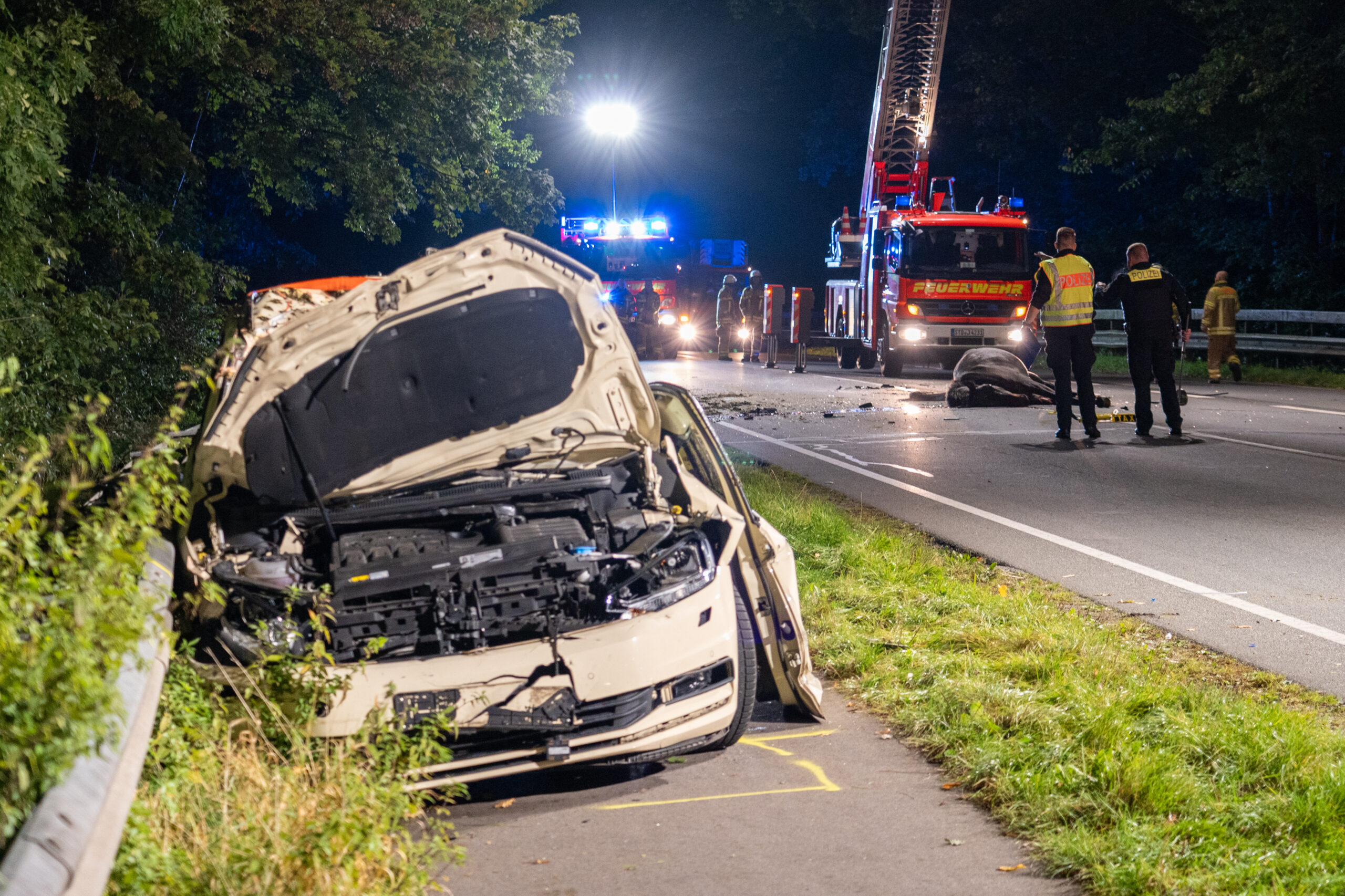 Der Unfallort auf der B73 in Stade bei Hamburg: Der Fahrer des Taxis wurde lebensgefährlich verletzt. Eins der toten Pferde liegt auf der Fahrbahn.