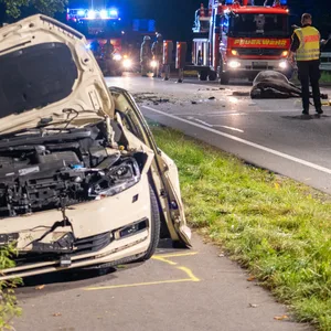 Der Unfallort auf der B73 in Stade bei Hamburg: Der Fahrer des Taxis wurde lebensgefährlich verletzt. Eins der toten Pferde liegt auf der Fahrbahn.