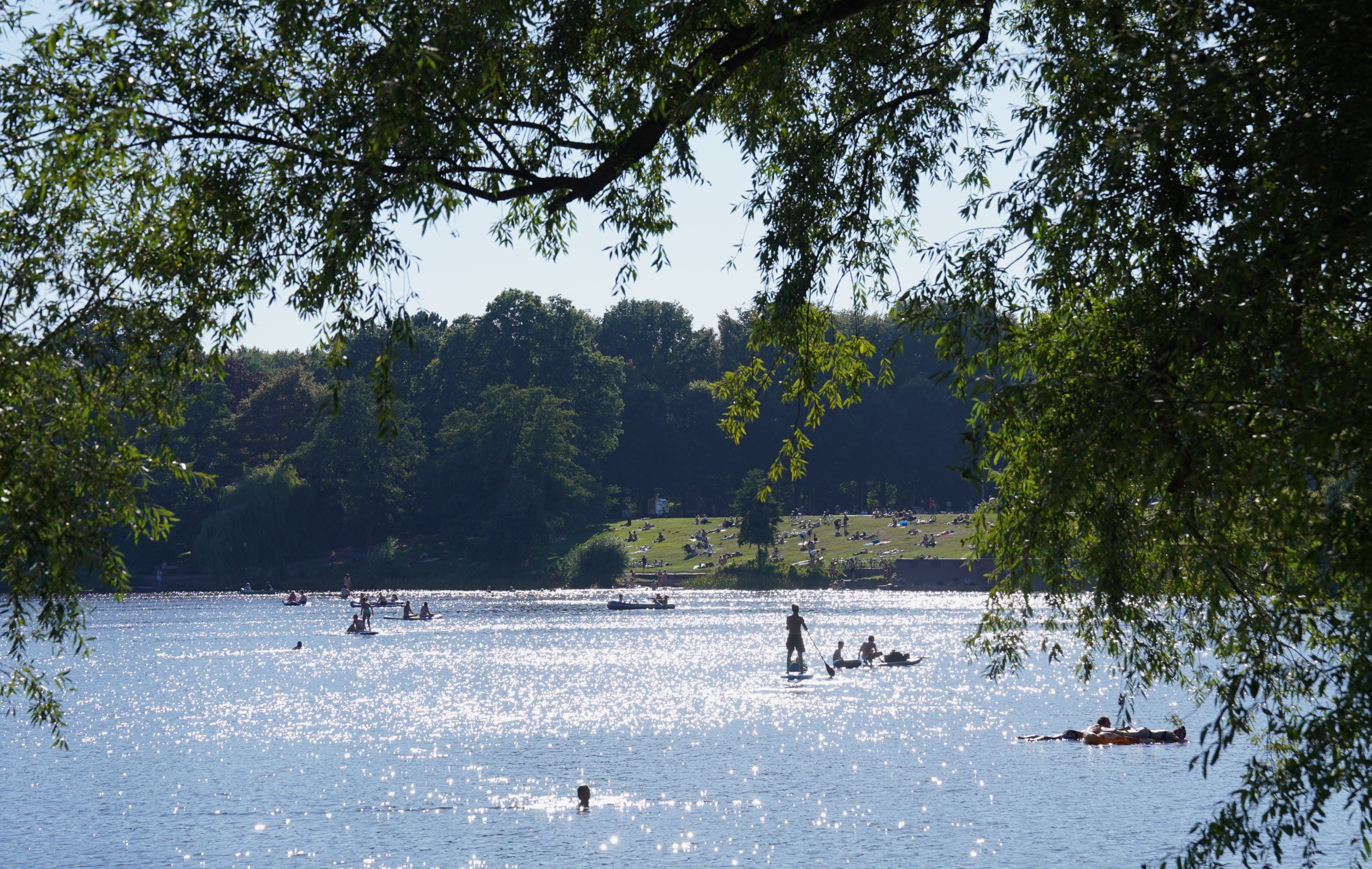 Der junge Mann ging im Stadtparksee unter. Im Krankenhaus verstarb der Mann.