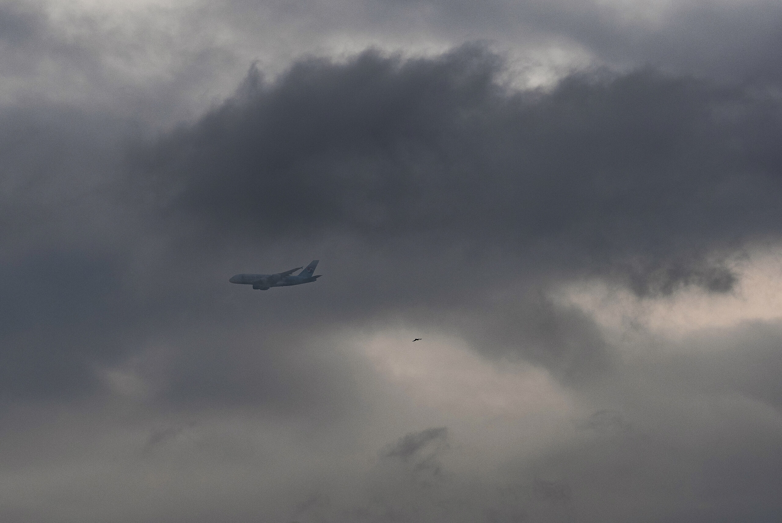 Flugzeuge konnten nicht in Fuhlsbüttel landen (Symbolfoto).