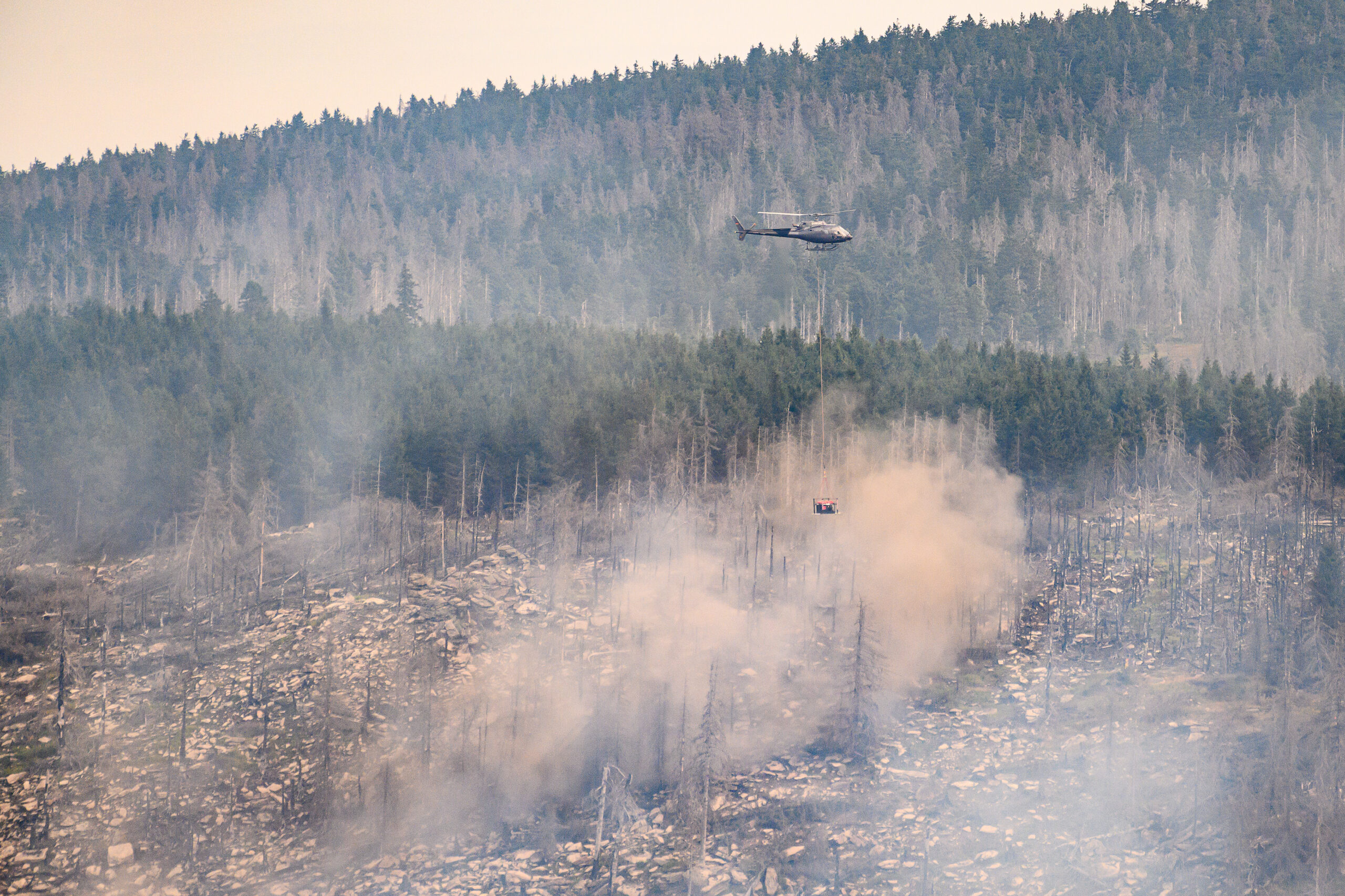 Waldbrand