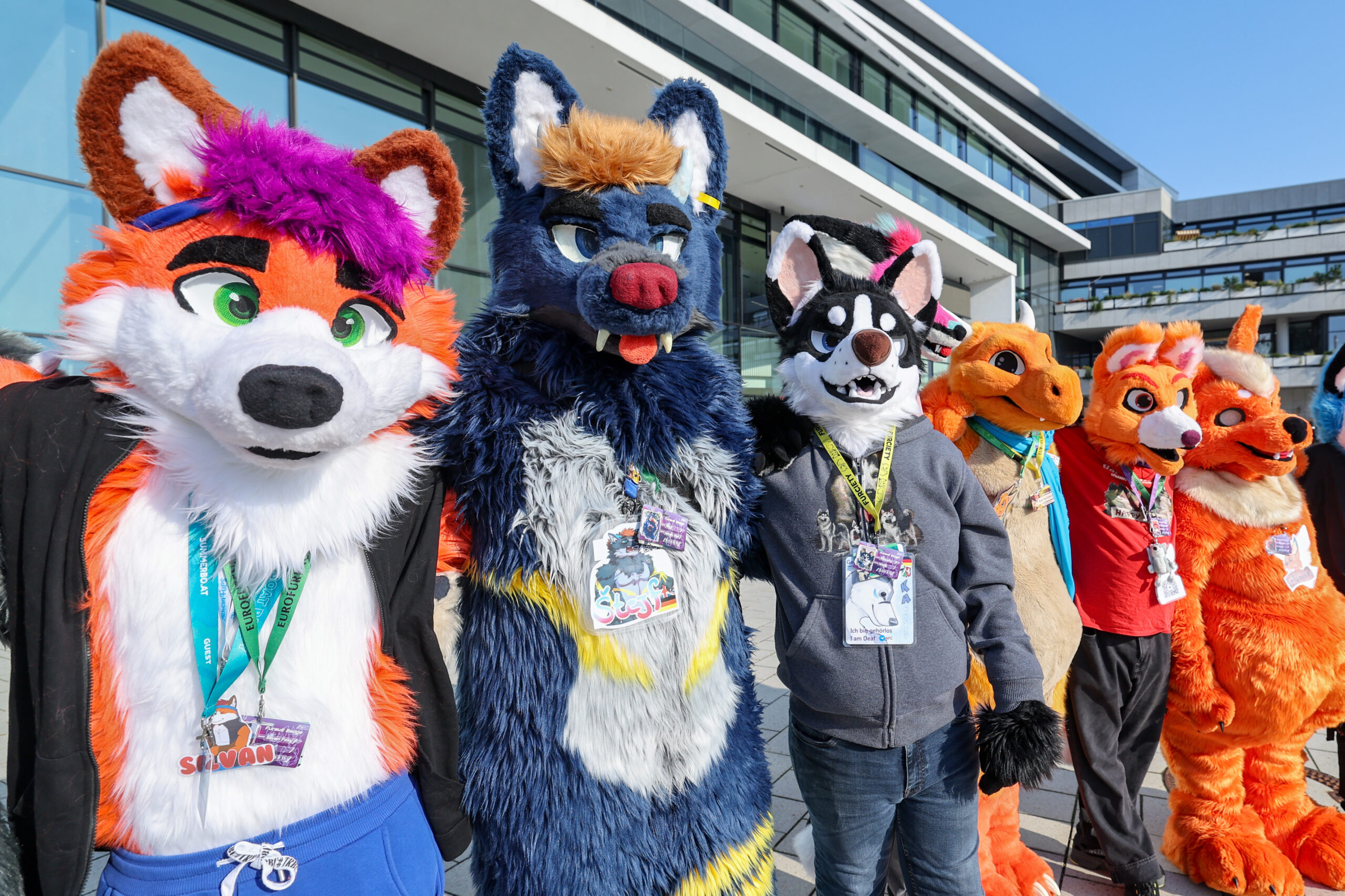 Furry Convention