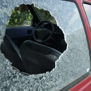 Die Polizei musste die Scheibe einschlagen, um den Hund zu befreien (Symbolbild).