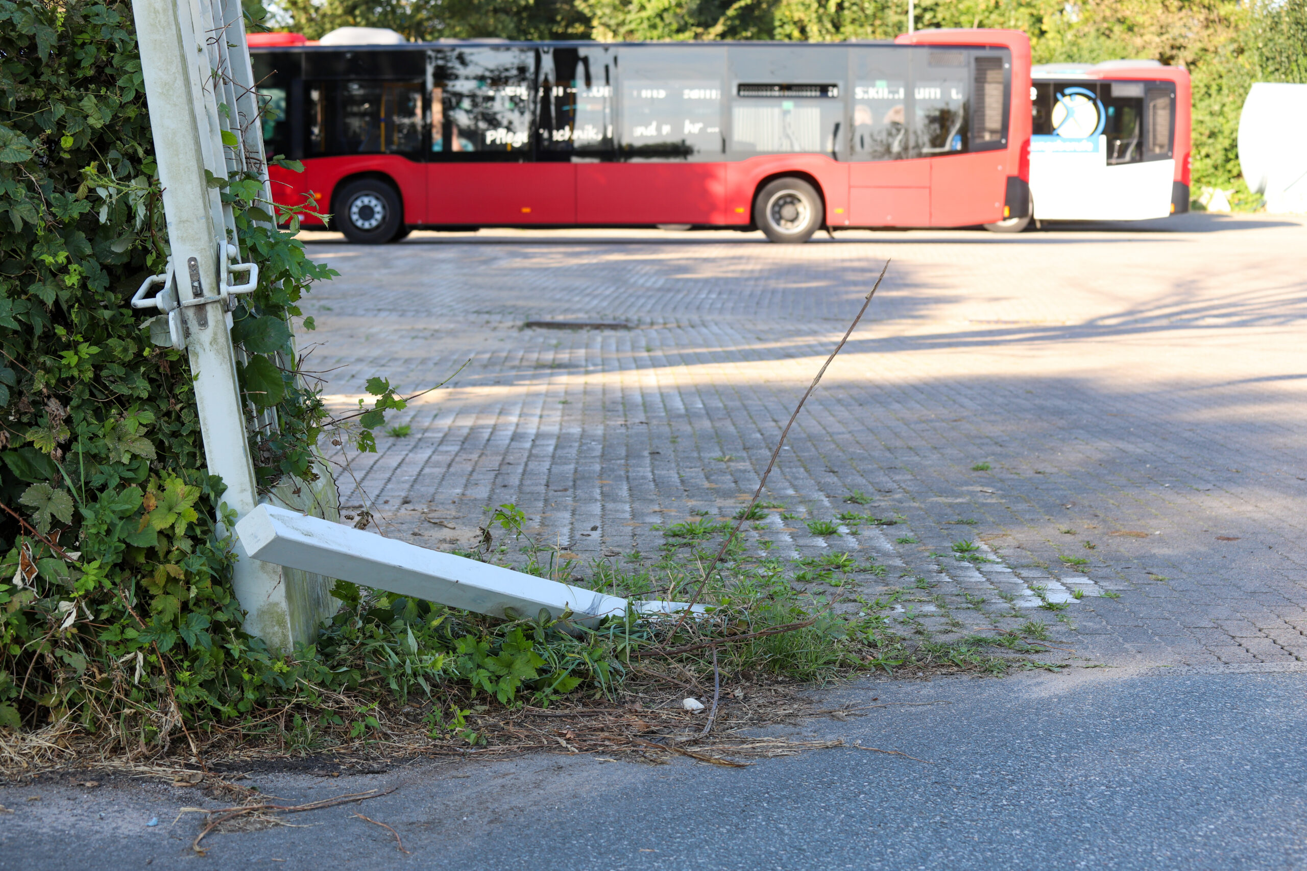 Rote Busse auf einem Betriebshof