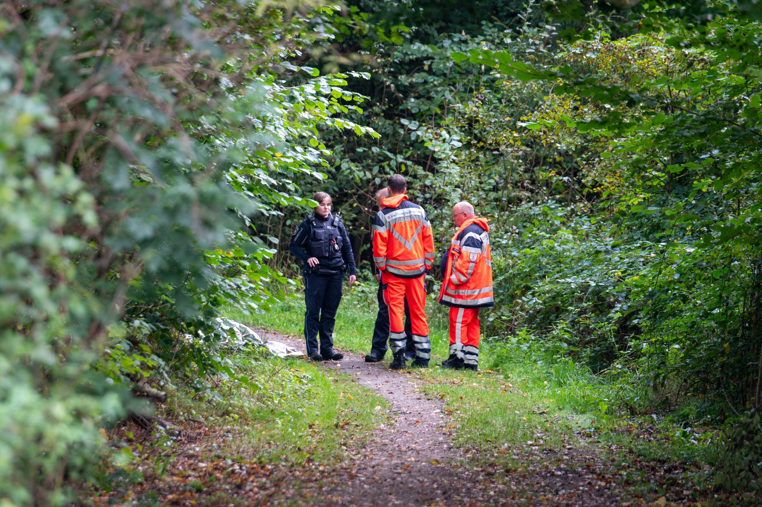 In Witzeeze (Landkreis Herzogtum Lauenburg) wurde in einem Waldstück eine Leiche gefunden. Die Polizei ermittelt.