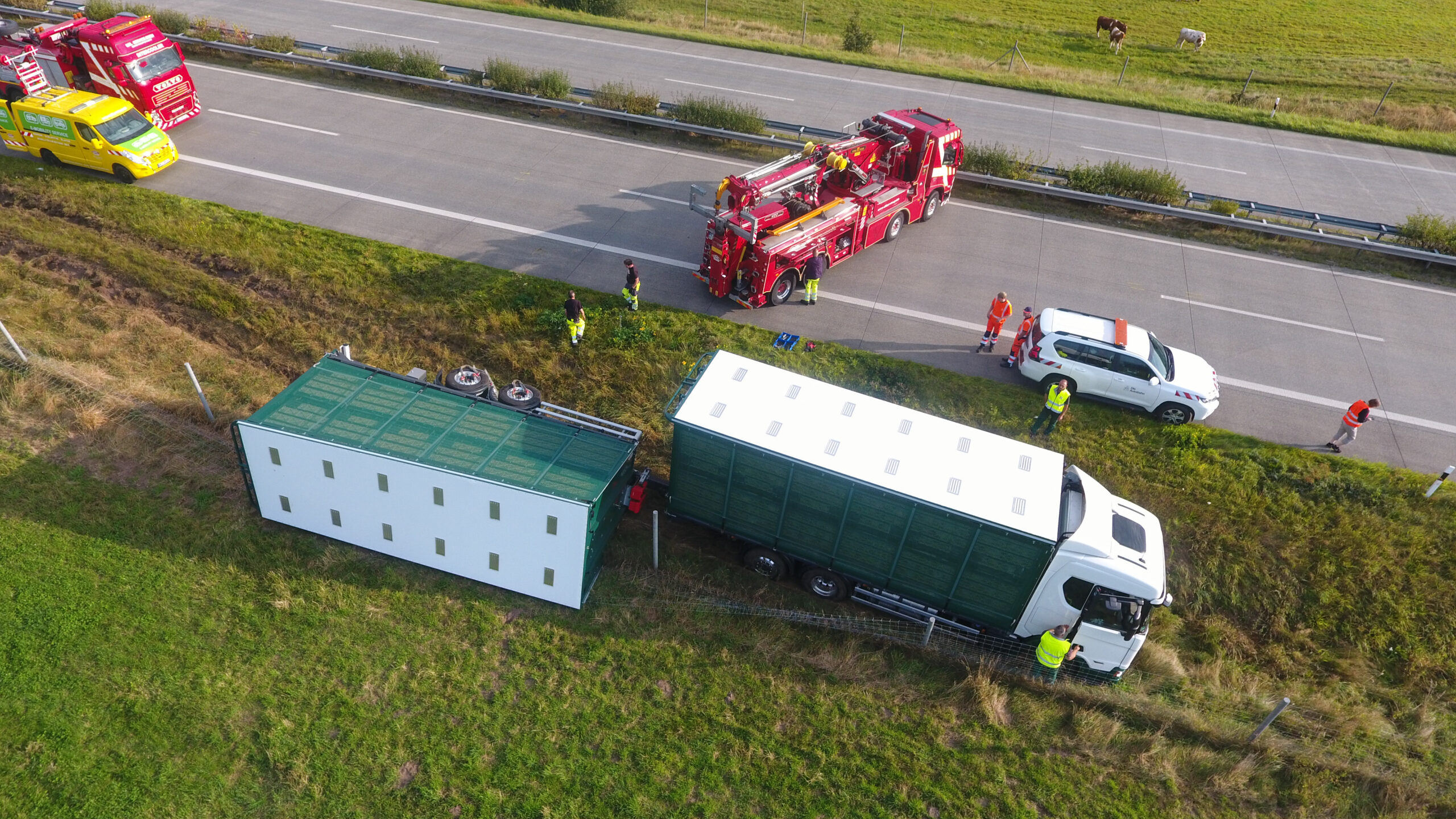 Ein 39-jähriger Lastwagenfahrer ist auf der A23 plötzlich von der Fahrbahn abgekommen. Das Gespann kippte auf dem Grünstreifen um. Viele Hühner verstarben im Unfallfahrzeug. Die A23 war für Stunden in Richtung Hamburg gesperrt.