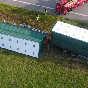 Ein 39-jähriger Lastwagenfahrer ist auf der A23 plötzlich von der Fahrbahn abgekommen. Das Gespann kippte auf dem Grünstreifen um. Viele Hühner verstarben im Unfallfahrzeug. Die A23 war für Stunden in Richtung Hamburg gesperrt.