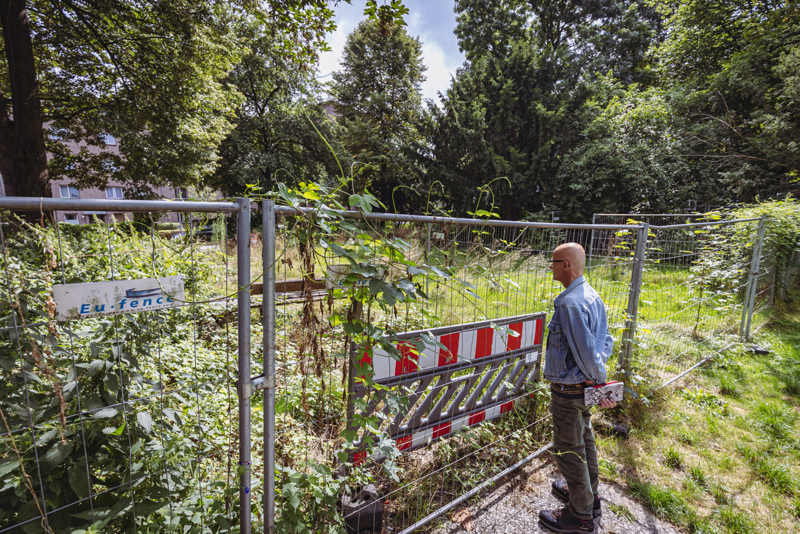 Mann mit Glatze guckt durch Bauzaun in eine Grünfläche