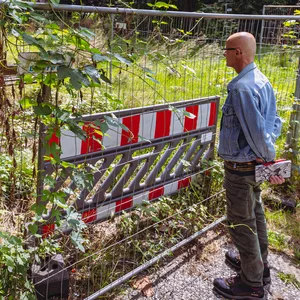 Mann mit Glatze guckt durch Bauzaun in eine Grünfläche