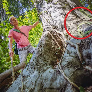 Reporter bei beschädigtem Baum