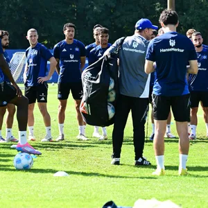 Zu viele Spieler für zu wenig Plätze. Steffen Baumgart hat beim HSV künftig die Qual der Wahl.