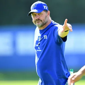 HSV-Trainer Baumgart
