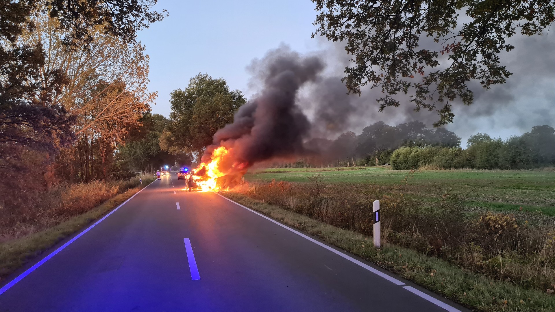 Auto kollidiert mit Reh, dann geht es in Flammen auf – Fahrer unverletzt