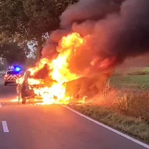 Auto kollidiert mit Reh, dann geht es in Flammen auf – Fahrer unverletzt